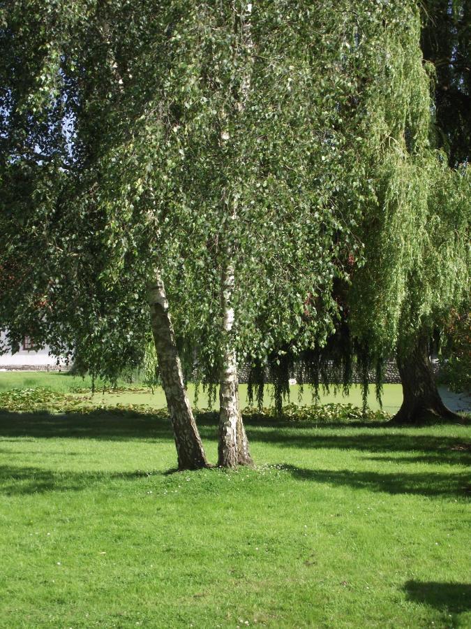 Les Portes Des Froises Saint-Quentin-en-Tourmont Eksteriør billede